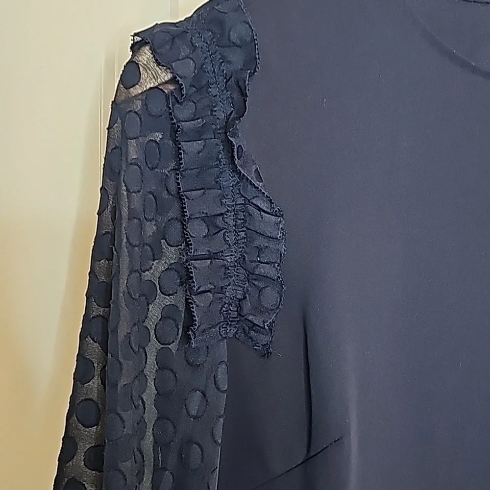 Ann Taylor ann taylor